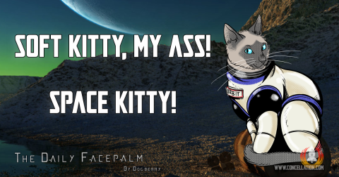 Space-Kitty