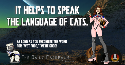 Anne---Language-of-Cats